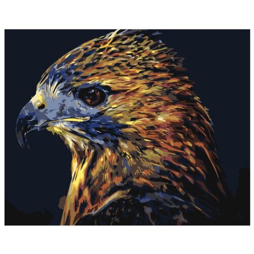 Пестрый орел Раскраска картина по номерам на холсте картина по номерам орел в полете 40х50 см