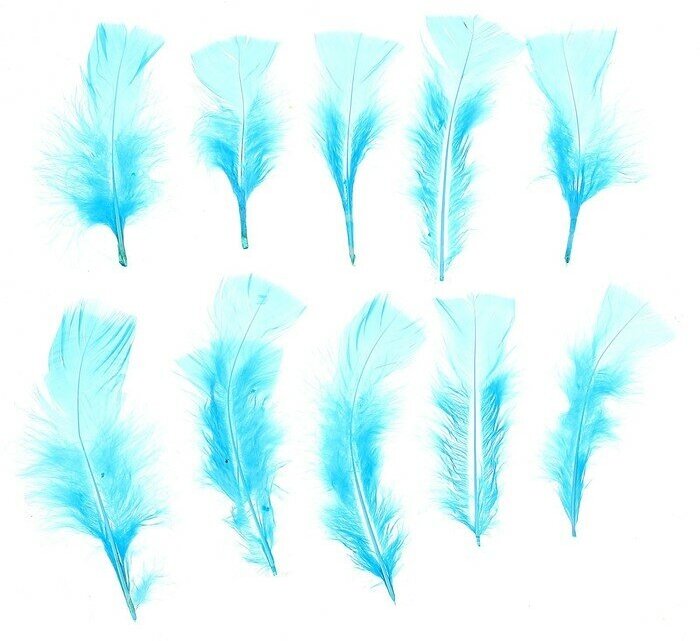 Набор перьев для декора 10 шт, размер 1 шт: 10 × 4 см, цвет голубой
