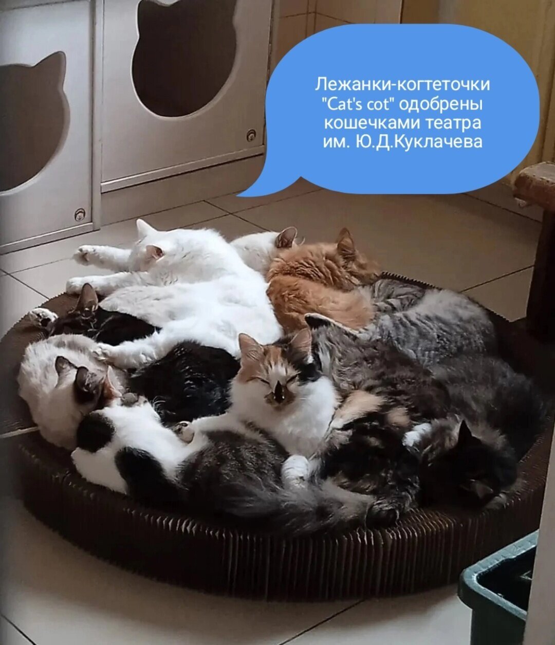 Лежанка-когтеточка "Cat's cot" с бортиком (2 по цене 1) - фотография № 5