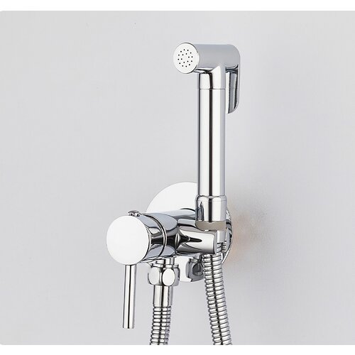 Смеситель для биде с гигиеническим душем / однорычажный / встраиваемый / латунный / хром