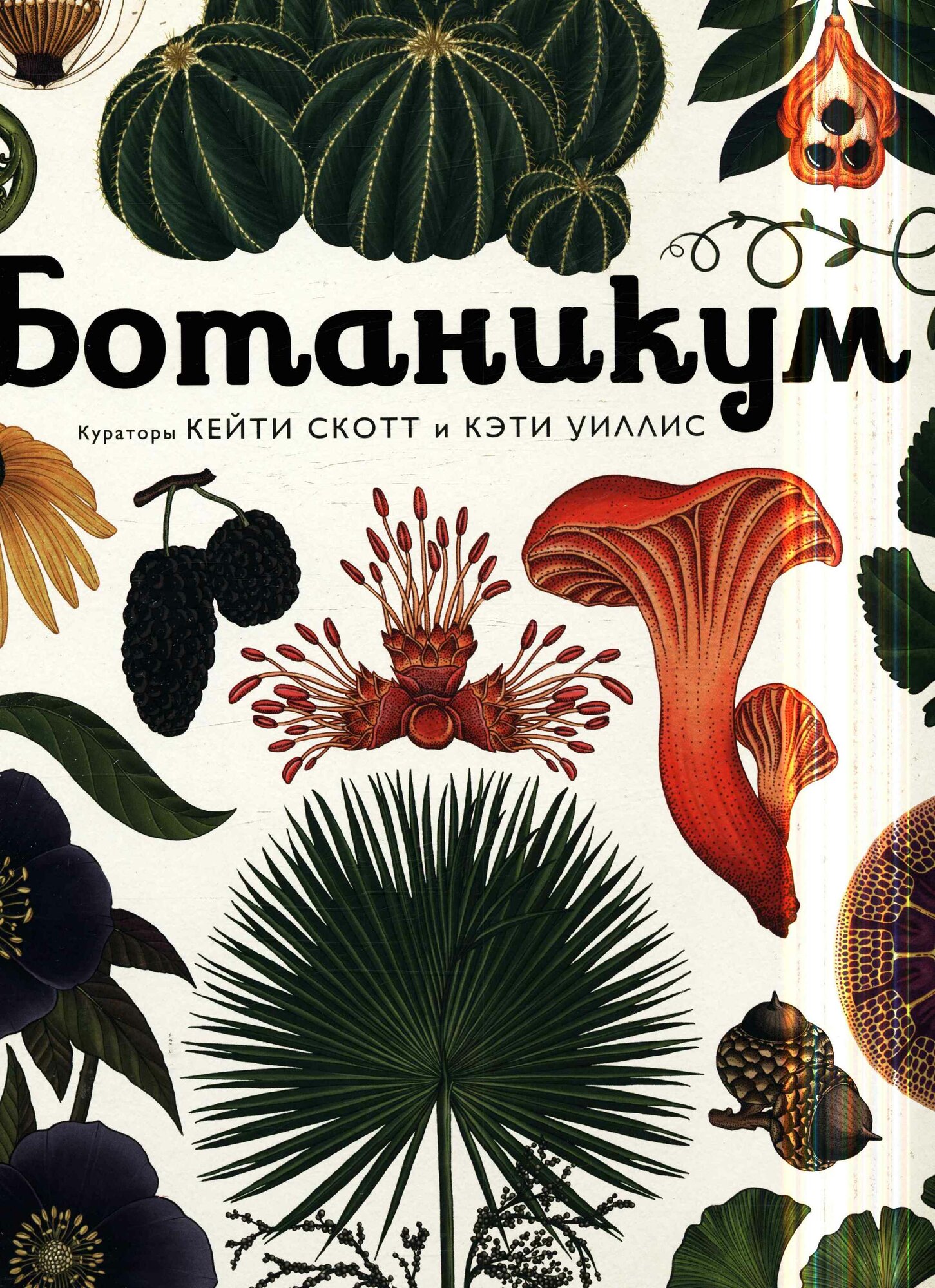 Ботаникум (Скотт К, Уиллис К.)