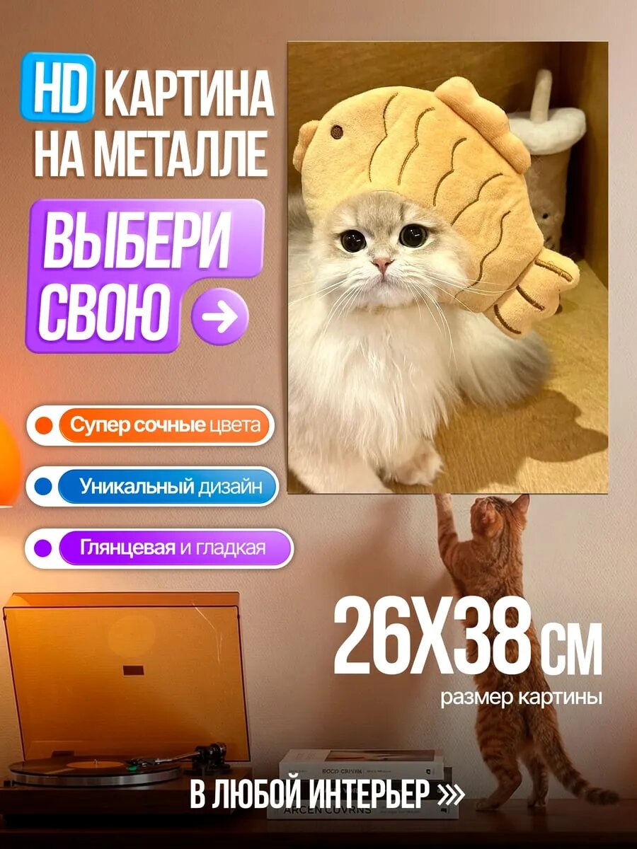 Картина на HD металле Кот с игрушкой тайяки