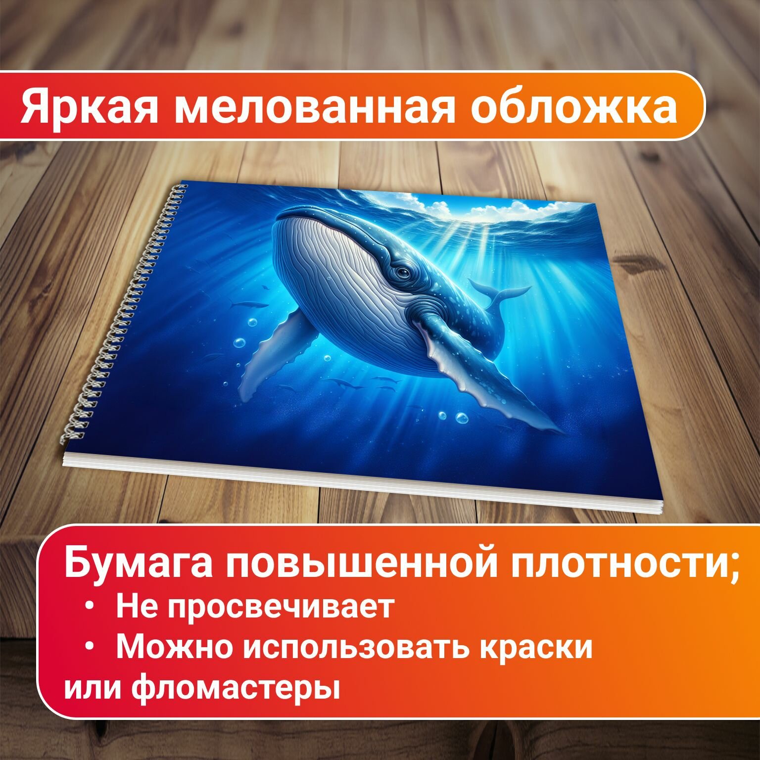 Альбом для рисования Кит — фото 1