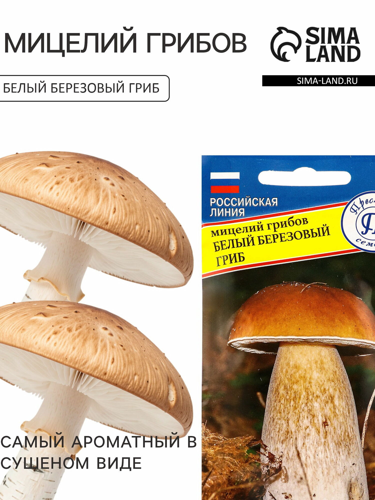 Мицелий грибов Белый гриб "Берёзовый", 60 мл, место выращивания: открытый грунт
