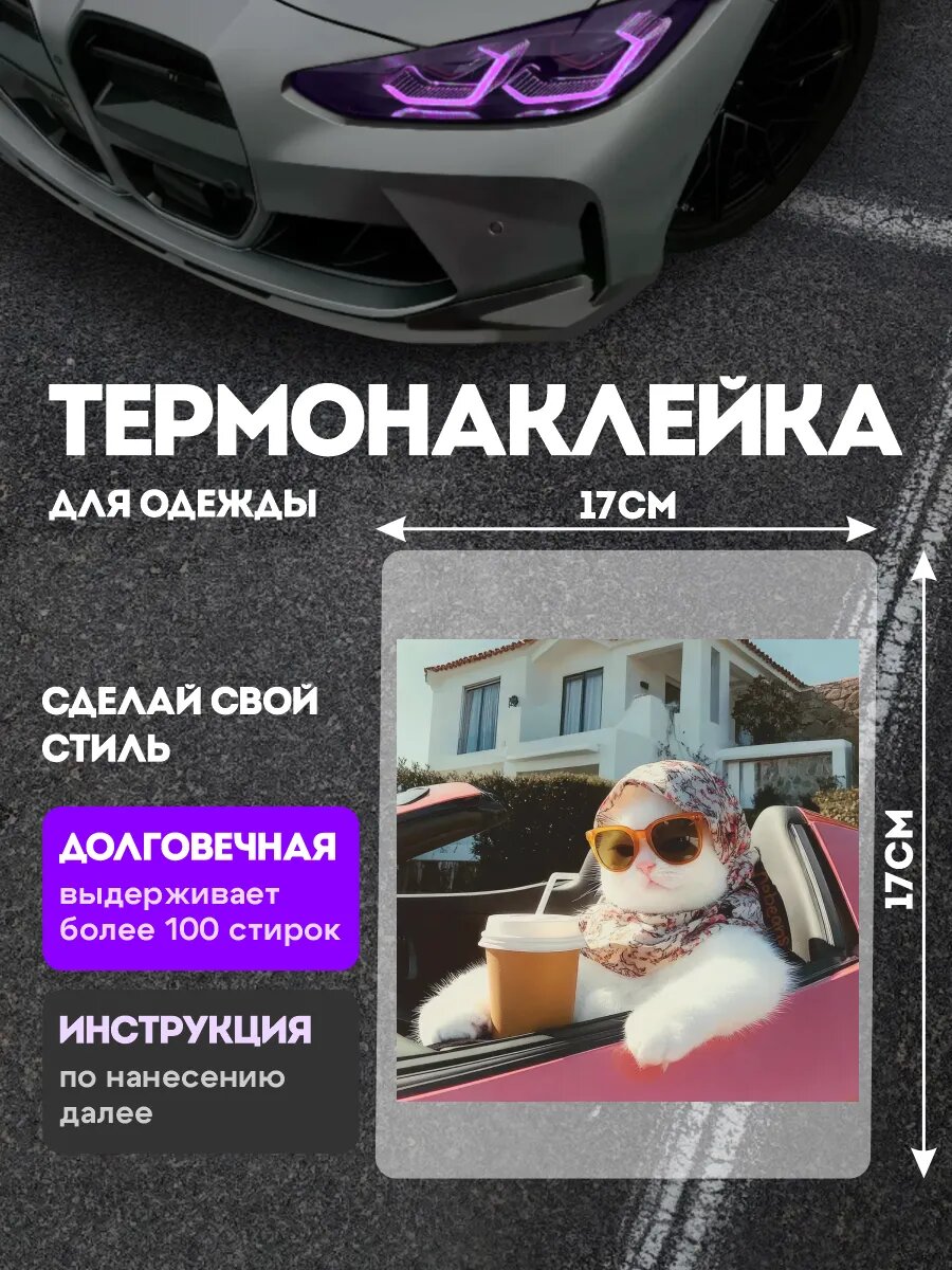 Термонаклейка на одежду котик мем