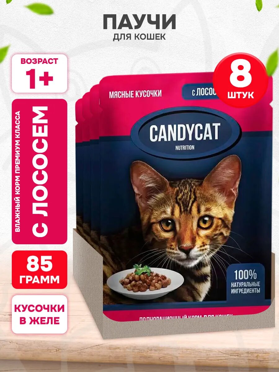 Корм влажный CandyCat для взрослых кошек, лосось в желе, 85 г 8 шт
