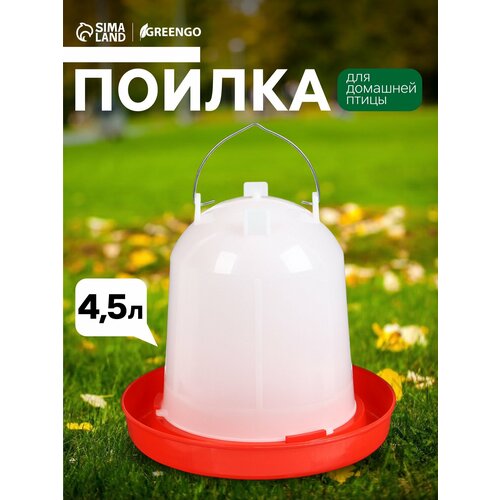фото Поилка для домашней птицы greengo, объём 5 л, пластик, белый/красный