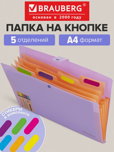Изображение товара Папка для документов А4 канцелярская на кнопке, органайзер для бумаг 5 отделений, Brauberg Extra, 274098