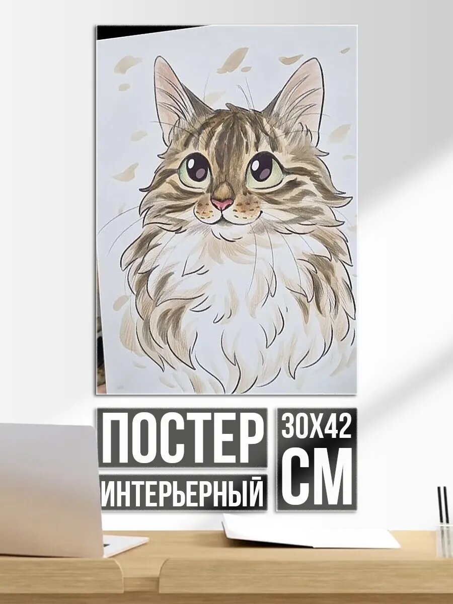Плакат постер Пушистый кот