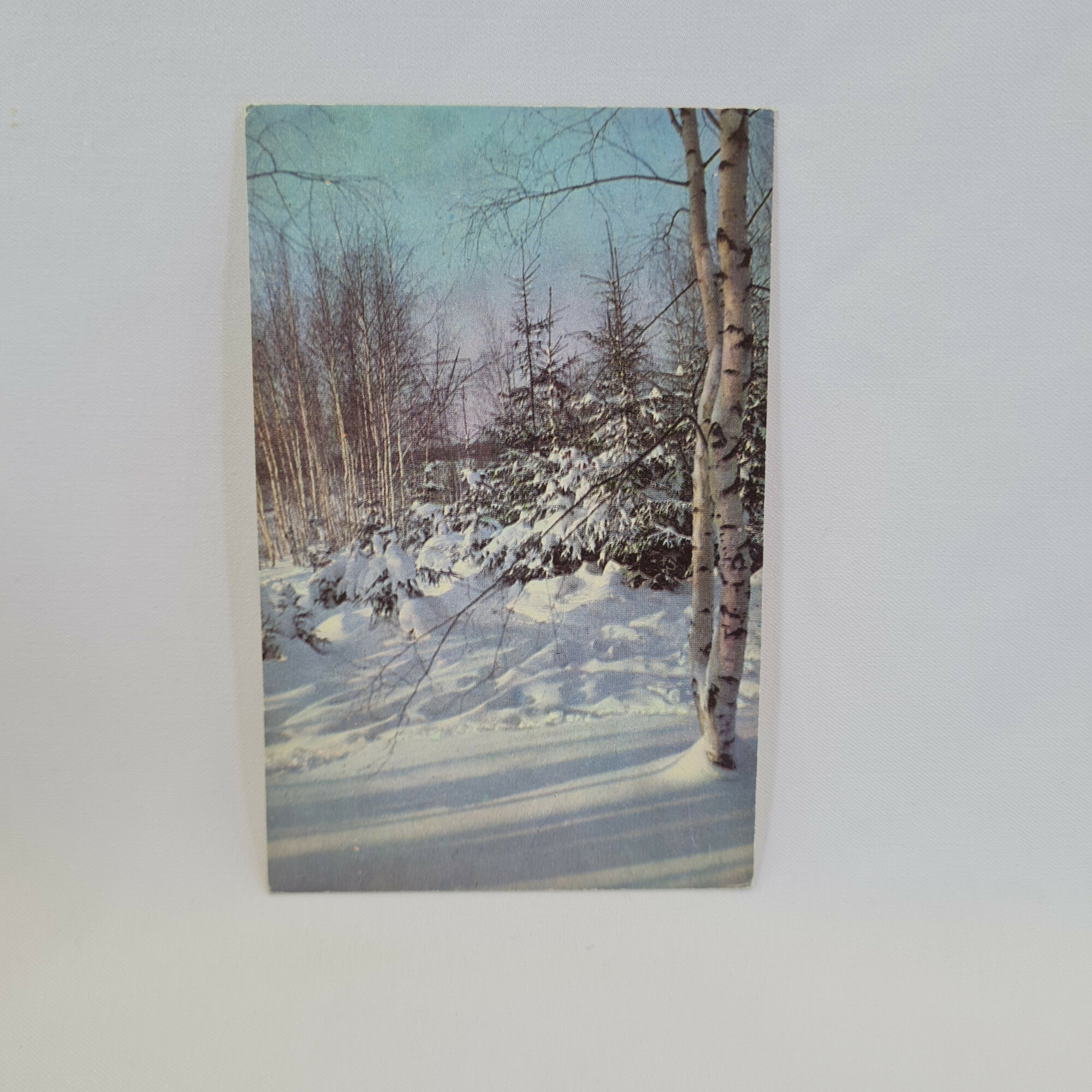 Открытка подписанная советская СССР. Зимний лес, березы и ели под снегом. Новогодний винтаж