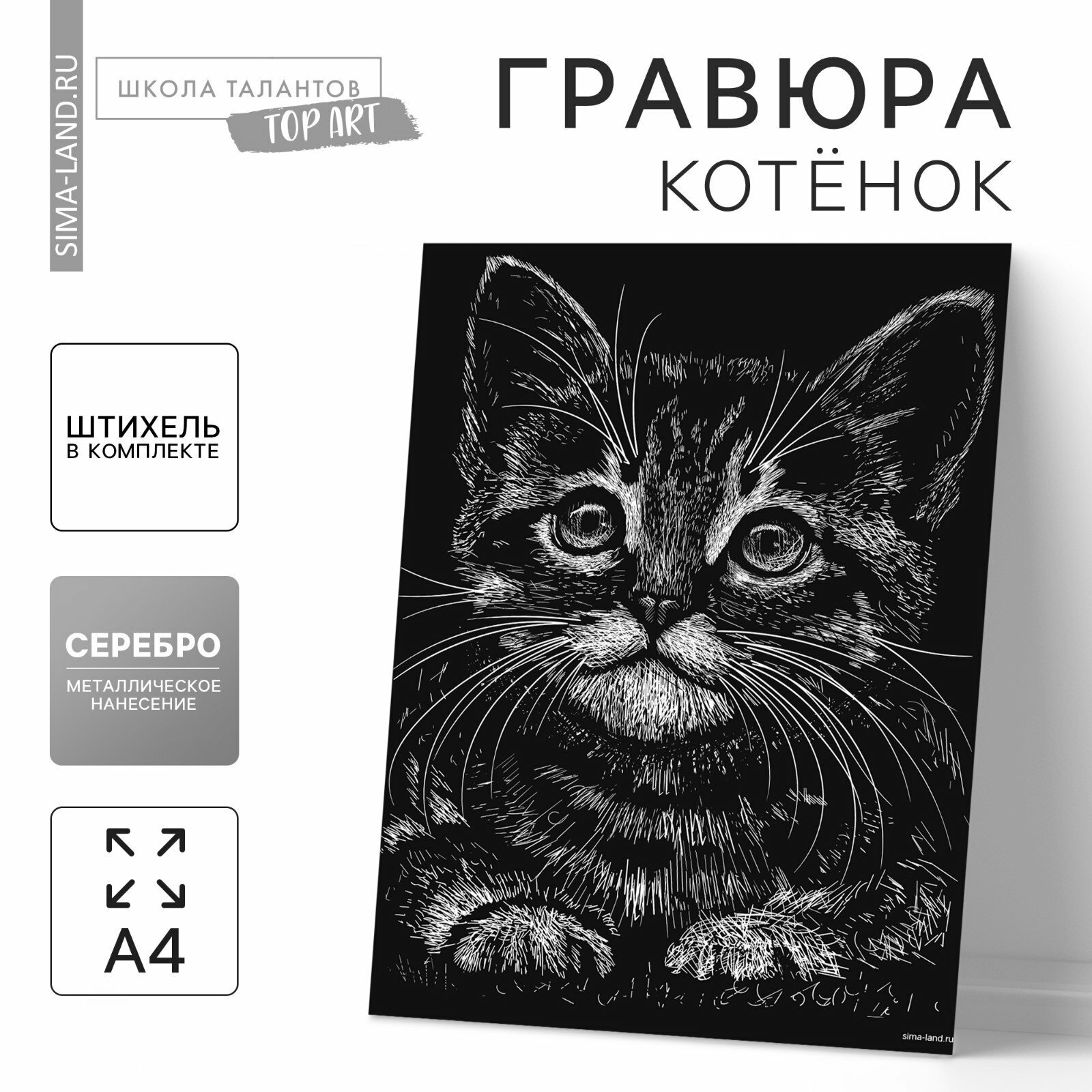 Гравюра "Котёнок" с металлическим эффектом "серебро" А4, вид гравюры: гравюры-картины