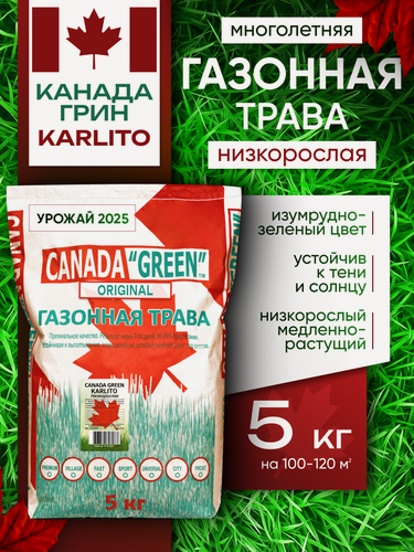 Изображение товара Газонная трава семена Канада Грин Низкорослая Карлито 5 кг / Canada Green Karlito 5 кг / мятлик, овсяница