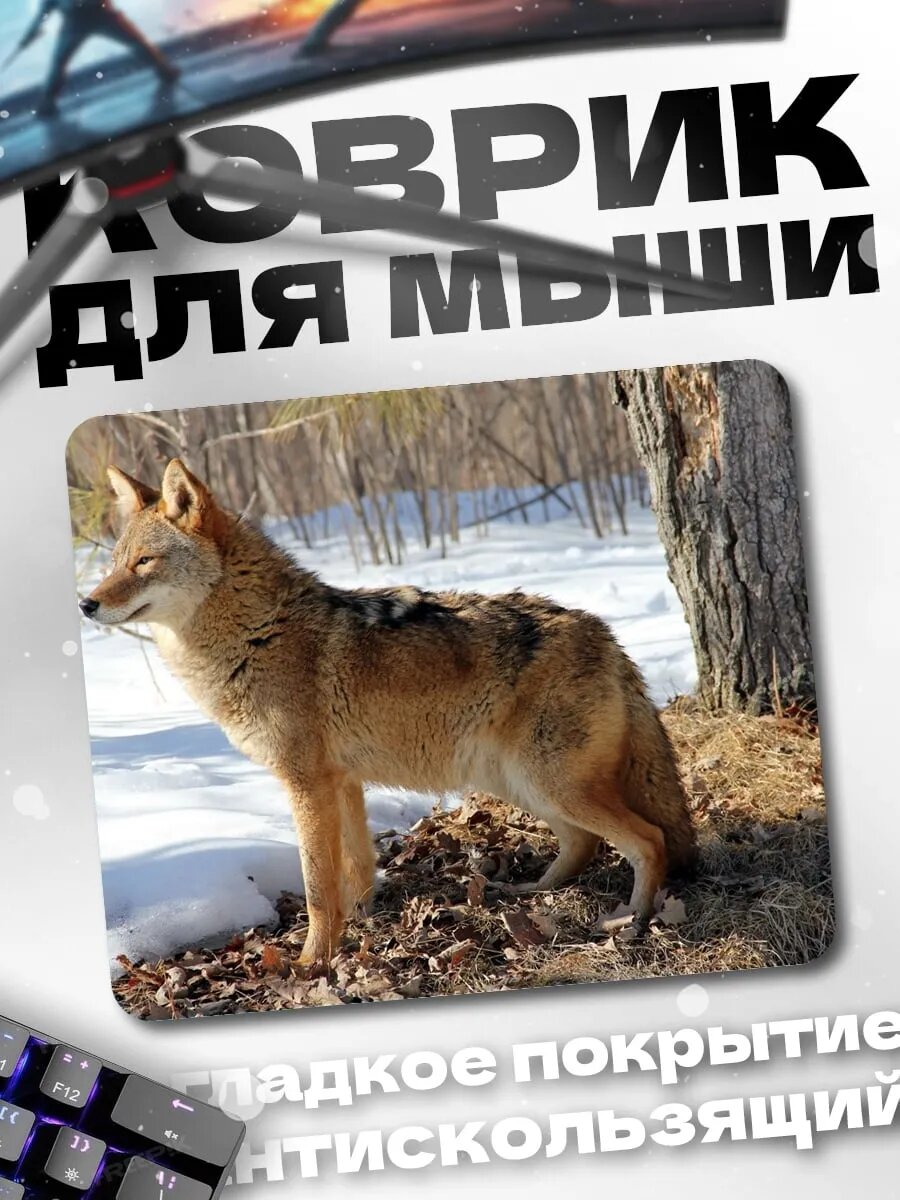 Коврик для мыши Волк в лесу