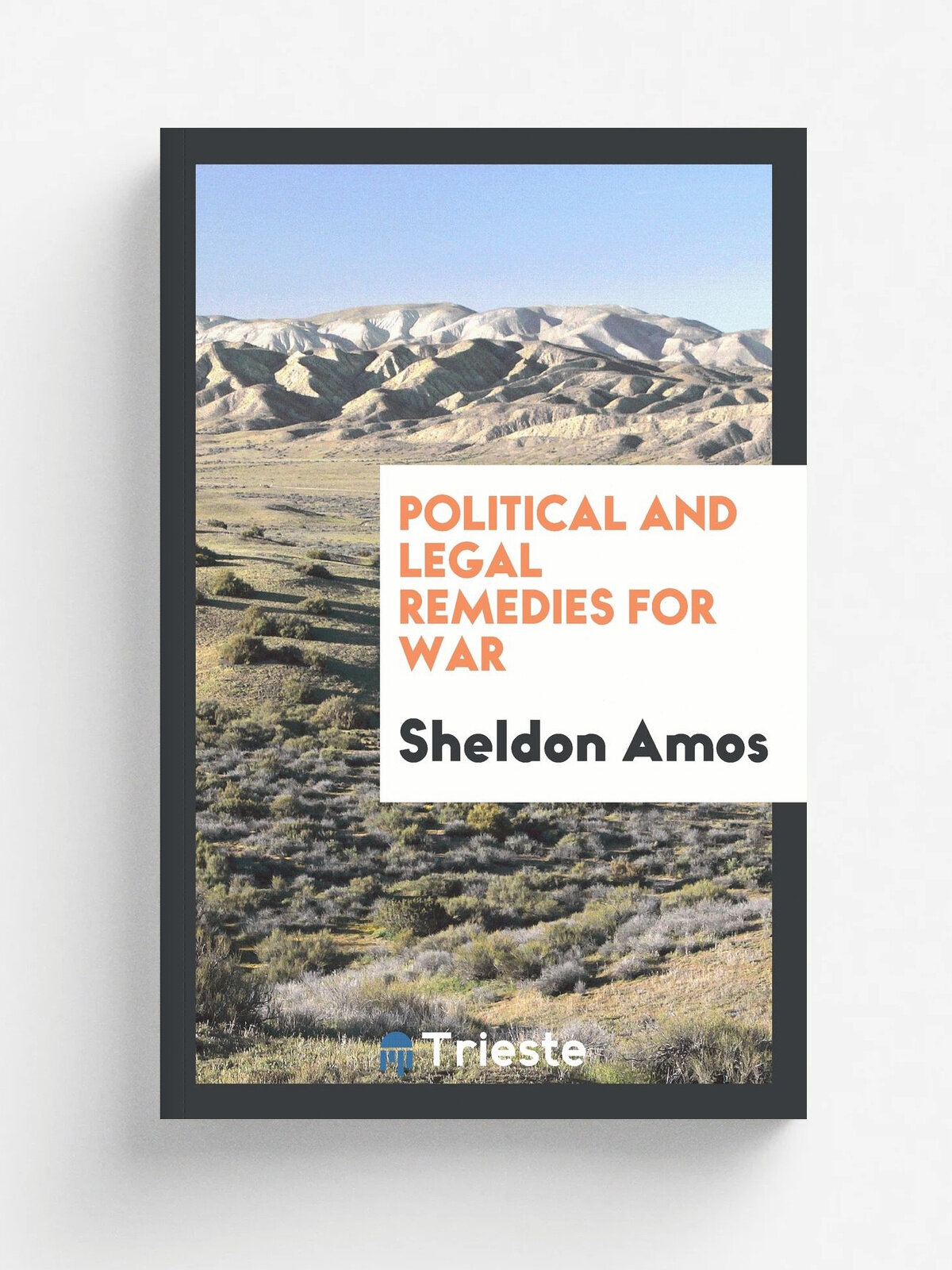 Political and legal remedies for war