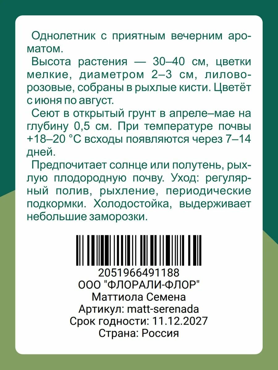 Маттиола Семена — фото 1