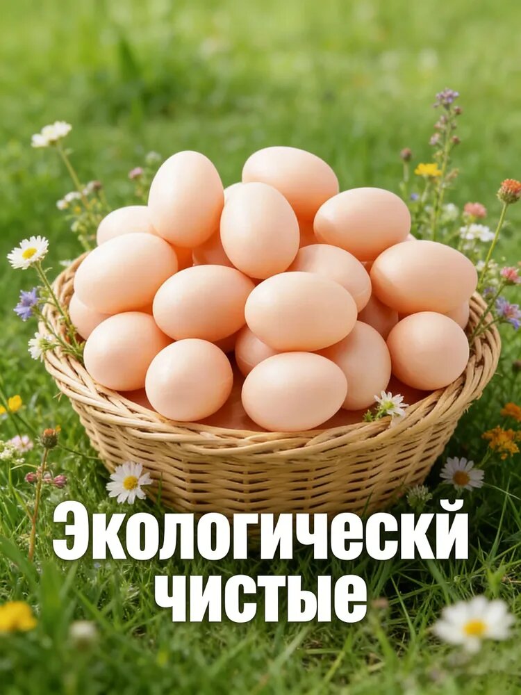 Подкладочное куриное яйцо (муляж) 10 штук для птиц, декора и тренировок Пасхальные яйца с рисунками