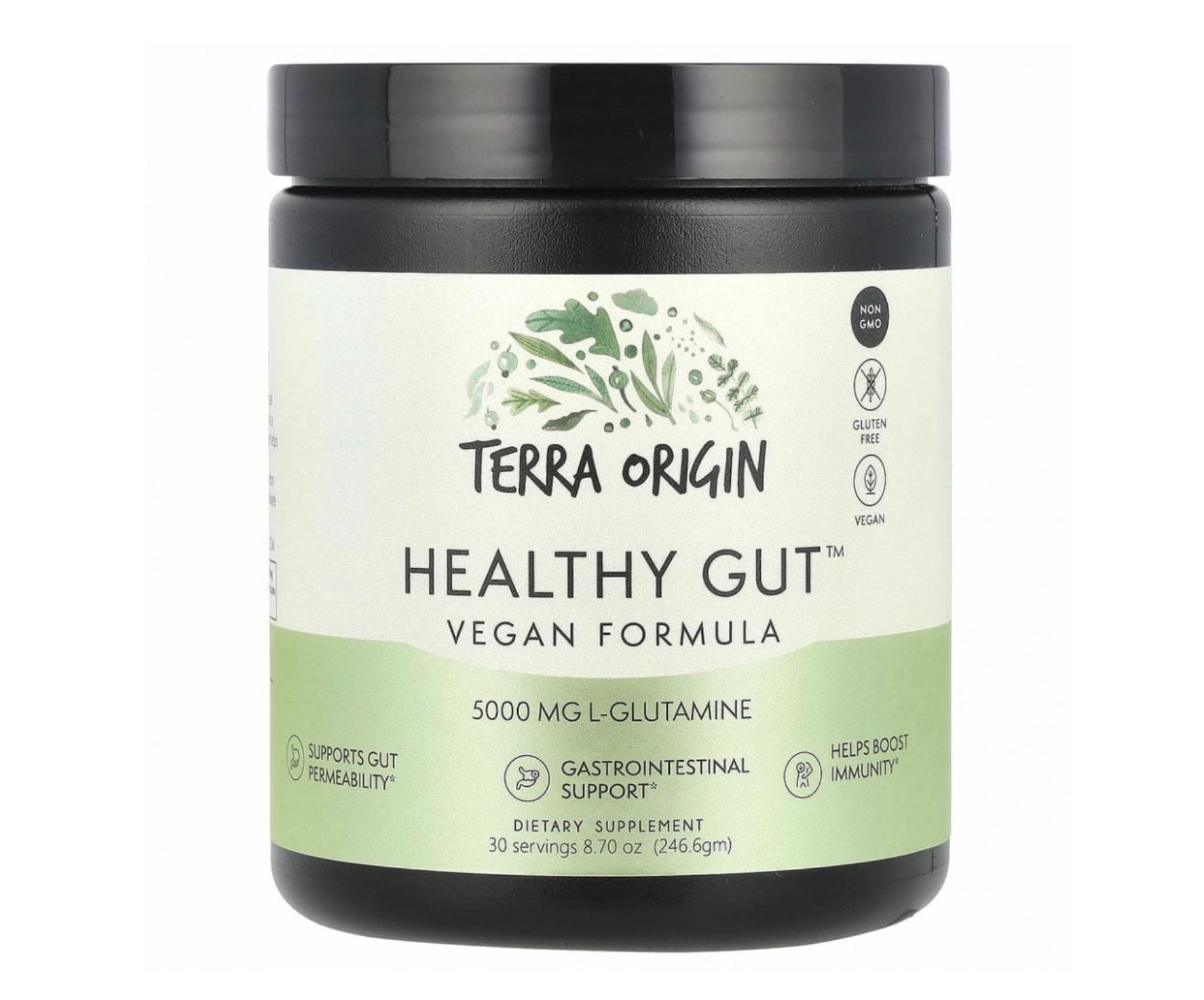Terra Origin Healthy Gut™ Vegan Formula, 246,6 г (порошок для поддержки ЖКТ, веганская формула)