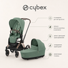 Фото Cybex Priam IV