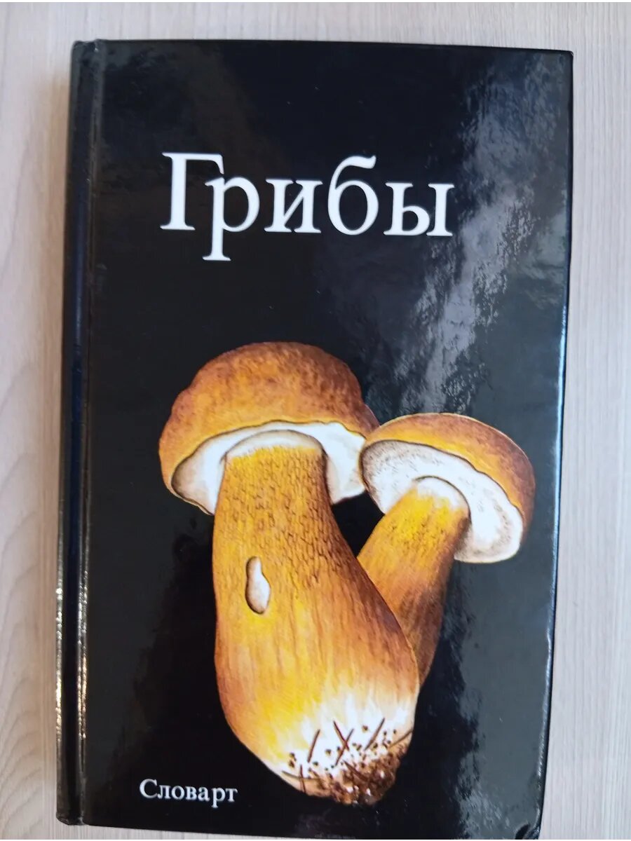 Грибы