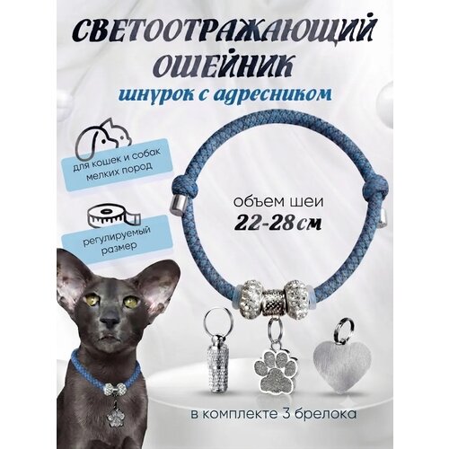 фото Ошейник для кошек и собак с адресником светоотражающий голубой балуем котика