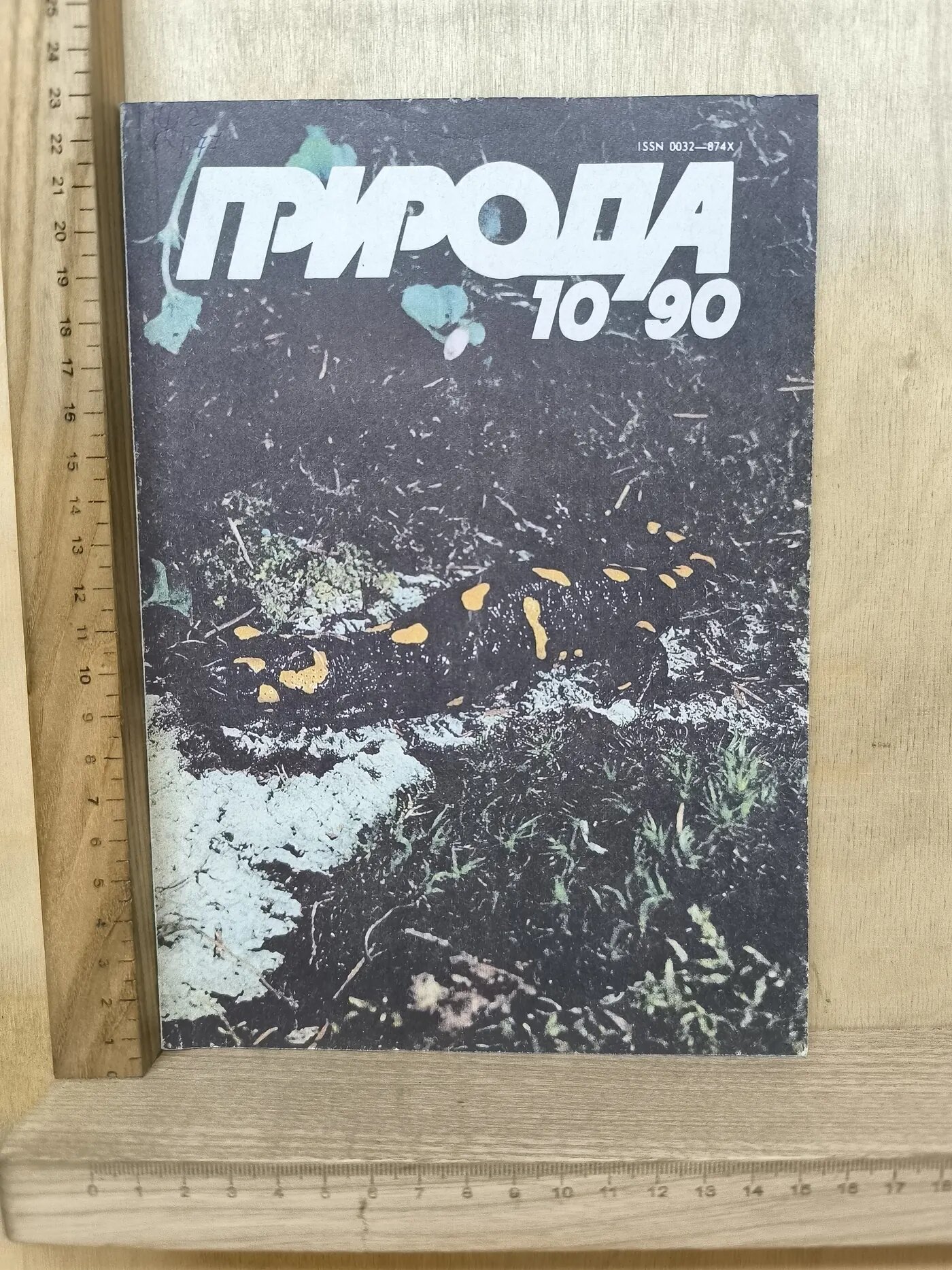 Журнал: Природа № 10/1990