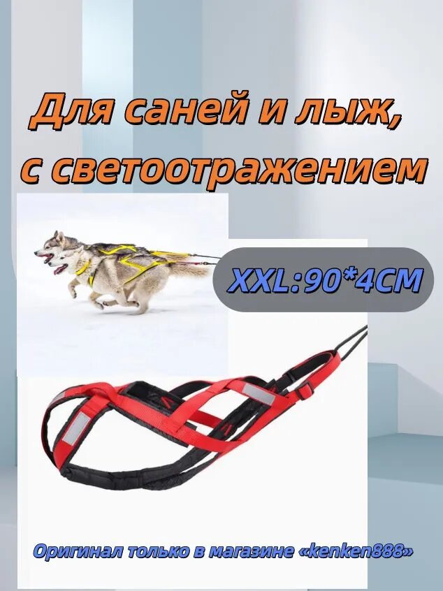 Тяговая шлейка для собак на санях для крупных пород