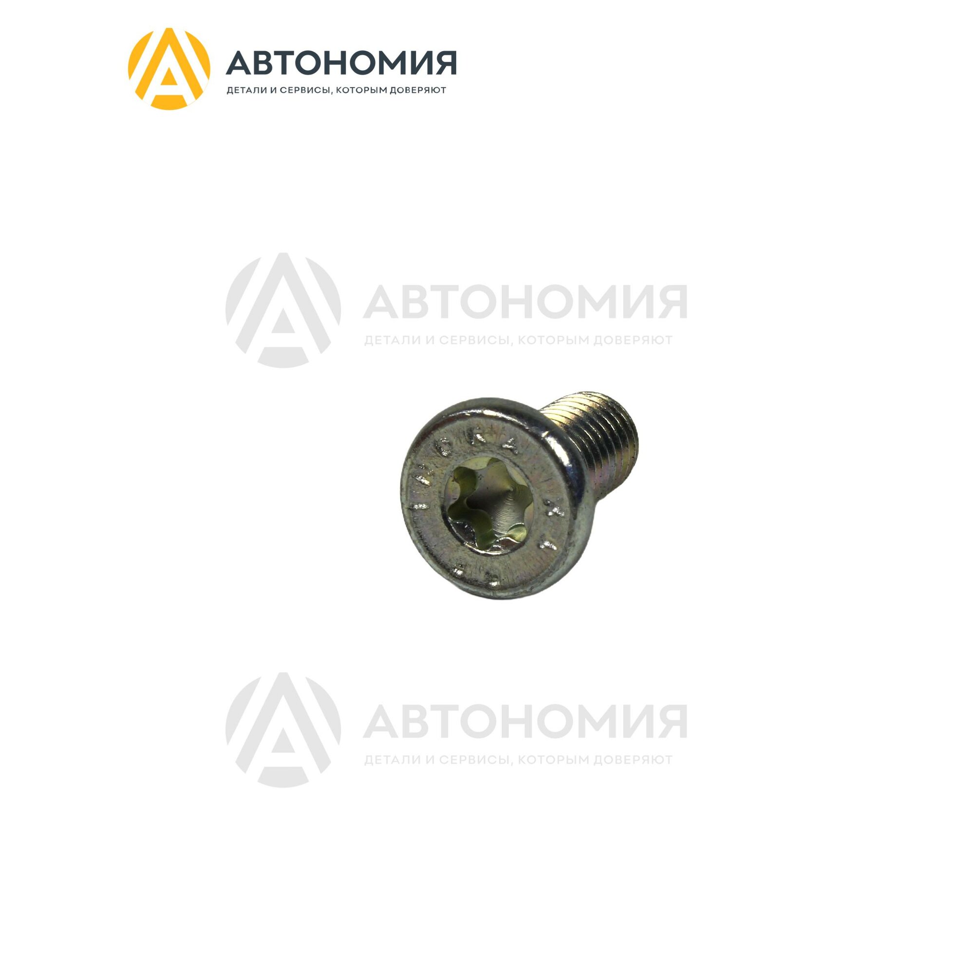 Болт с потайной головкой Torx BMW 51 21 8 153 573