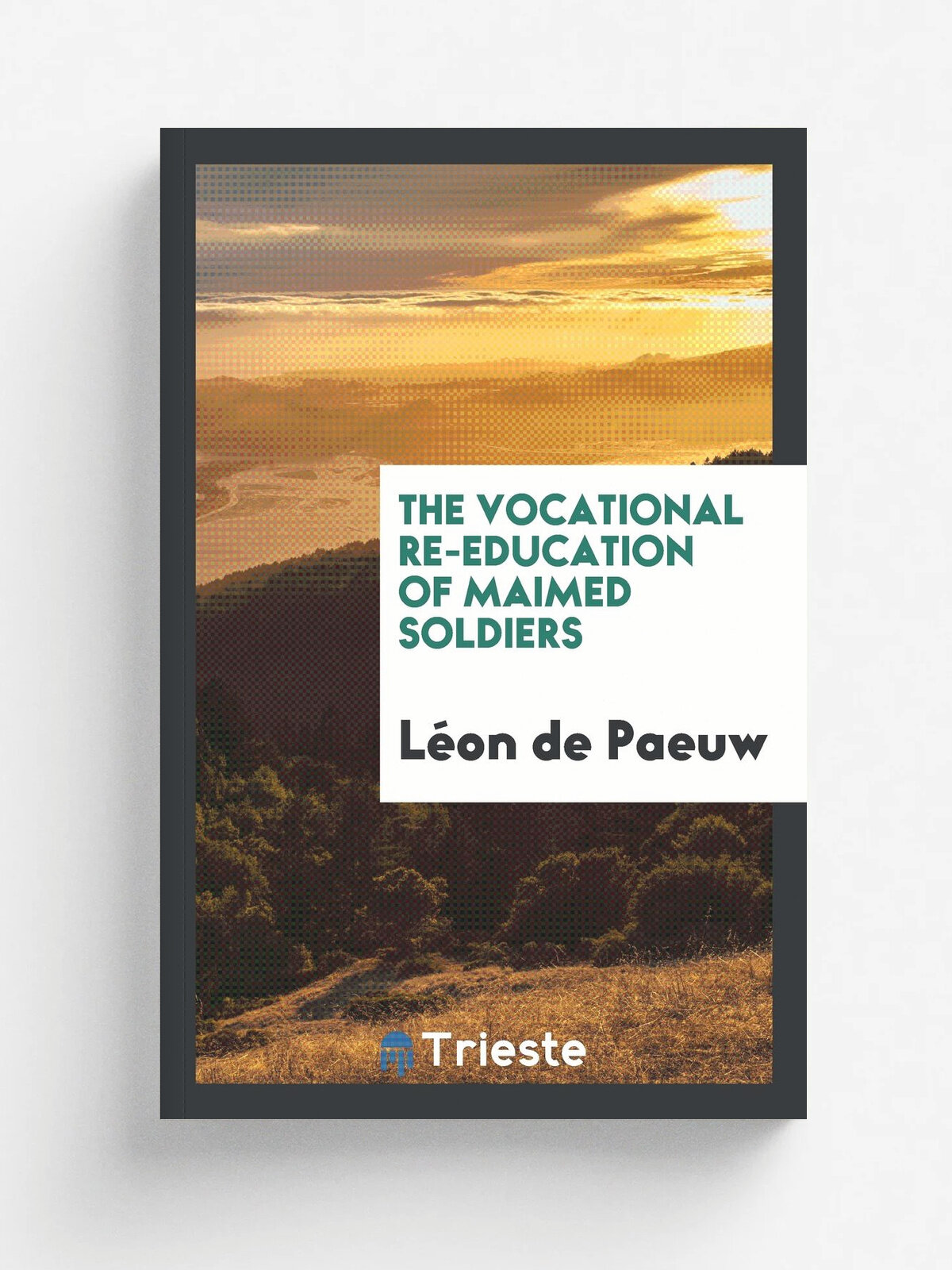 The vocational re-education of maimed soldiers