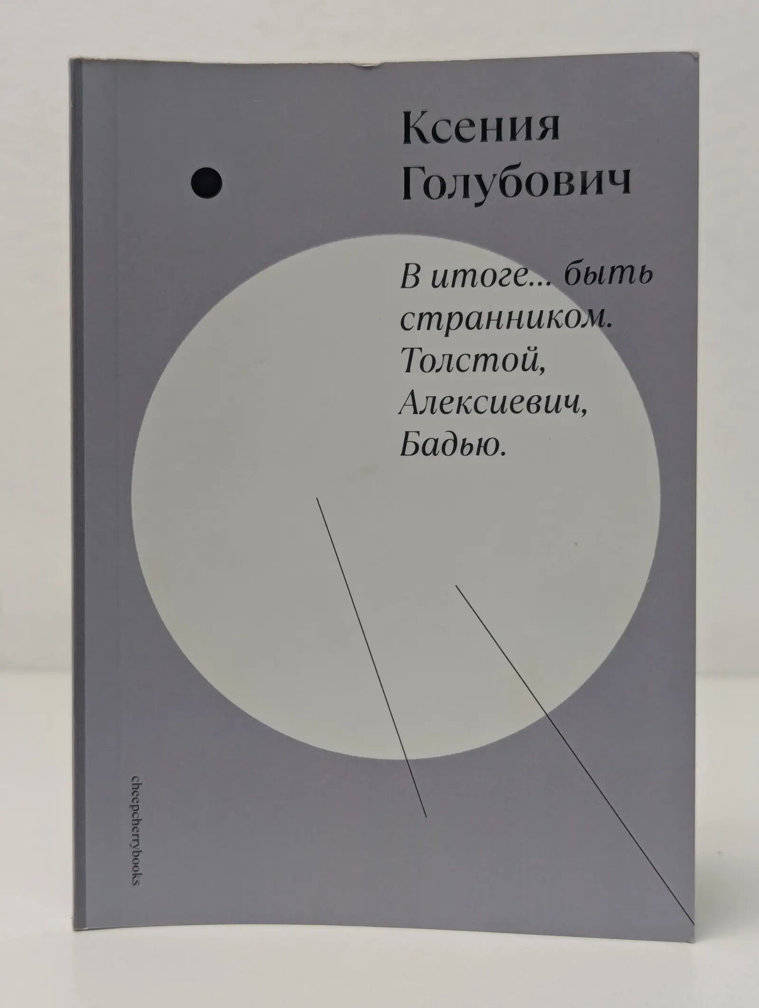 В итоге. быть странником. Толстой. Алексиевич. Бадью Голубович Ксения Олеговна 2024