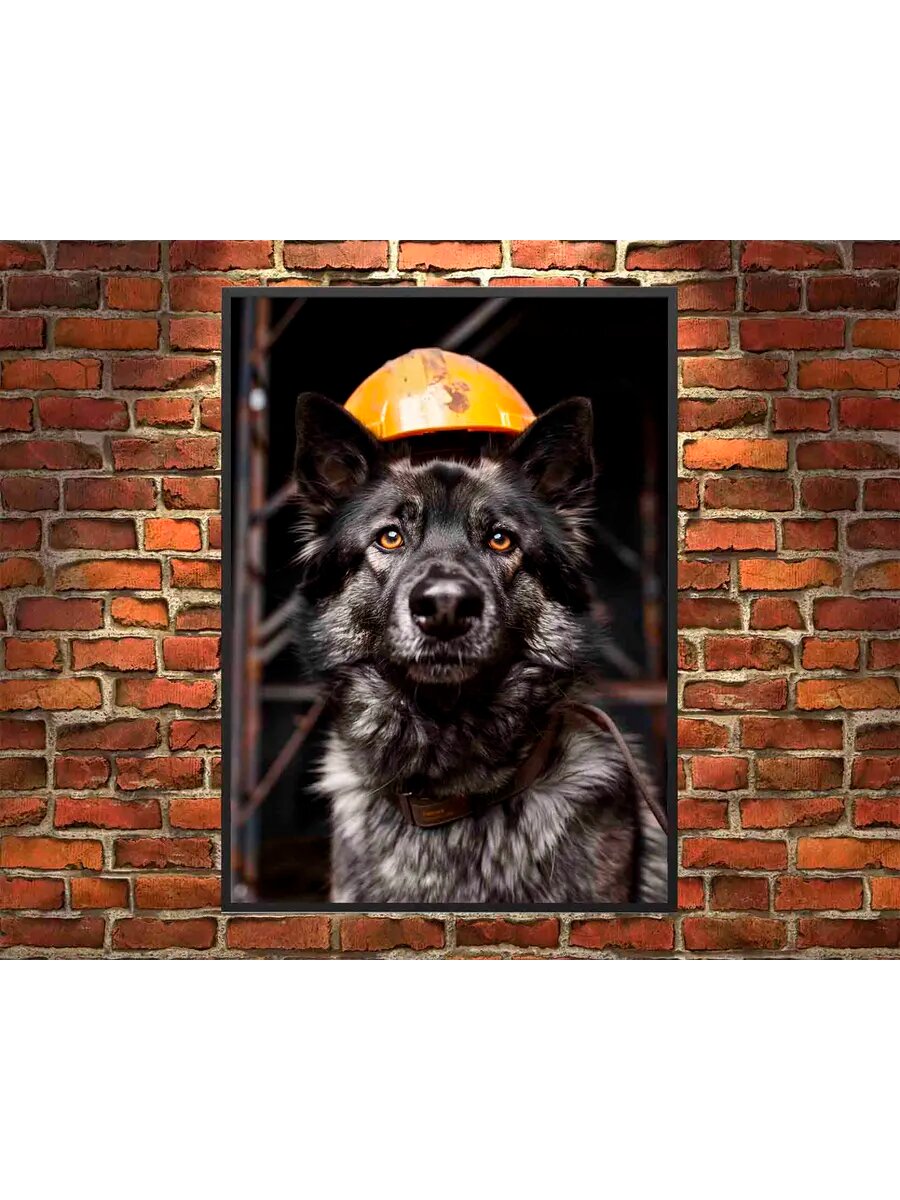 Норвежский элкхаунд-строитель собак 2, Плакат 30x42см