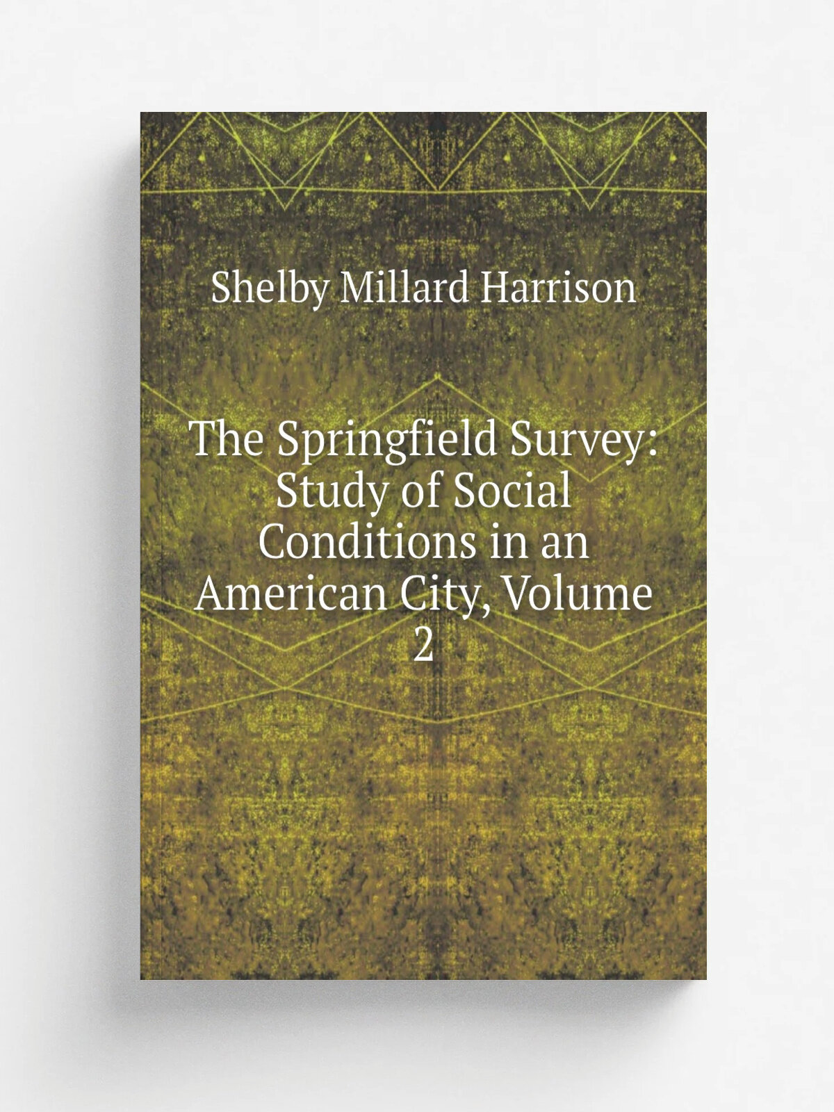 The Springfield Survey: Study of Social Conditions in an American City, Volume 2