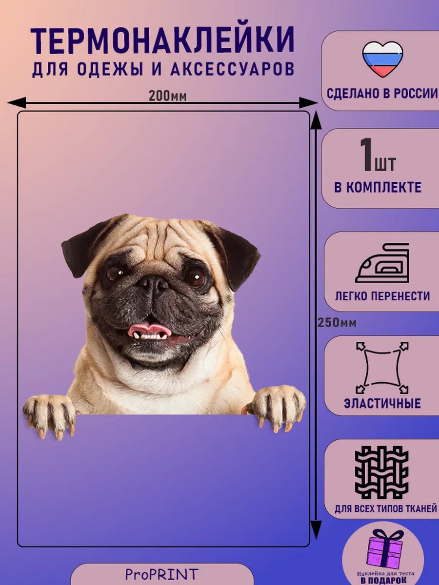 Термонаклейка на одежду собака