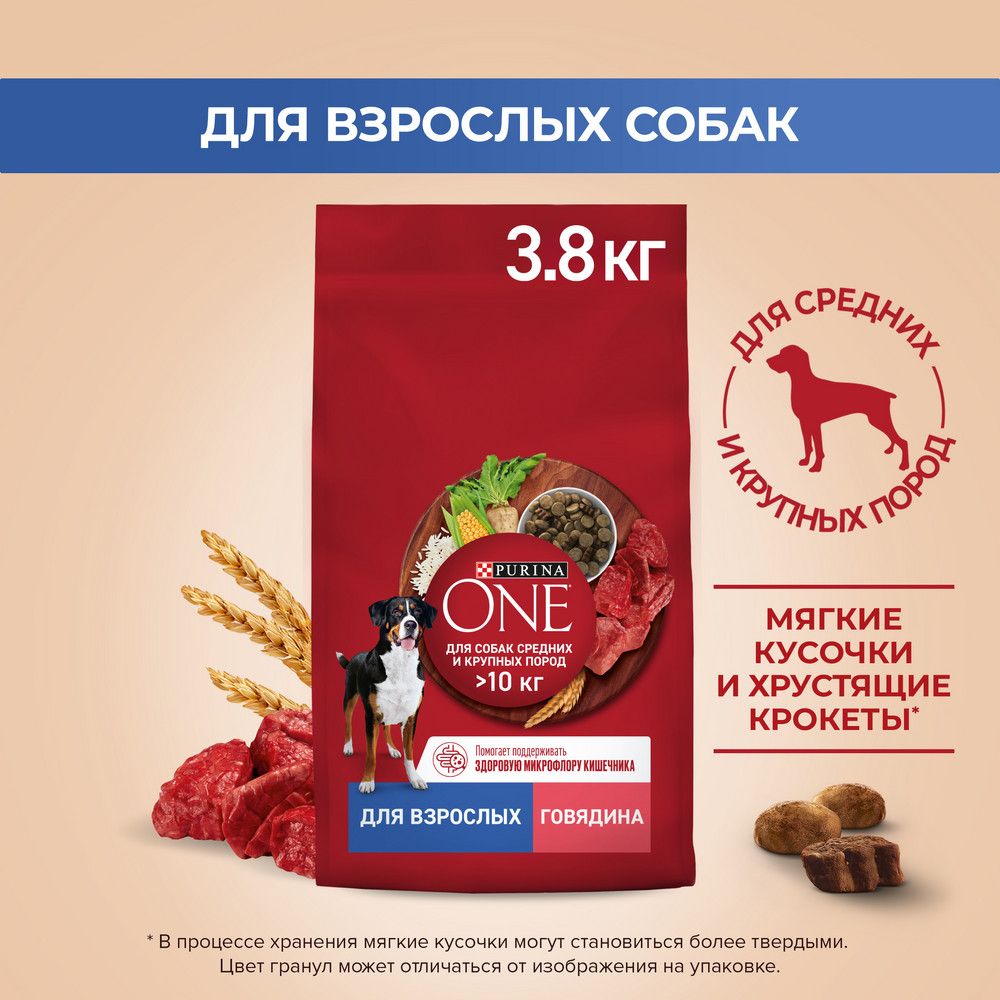 Сухой корм Purina ONE для взрослых собак средних и крупных пород, с высоким содержанием говядины и с рисом 3,8 кг