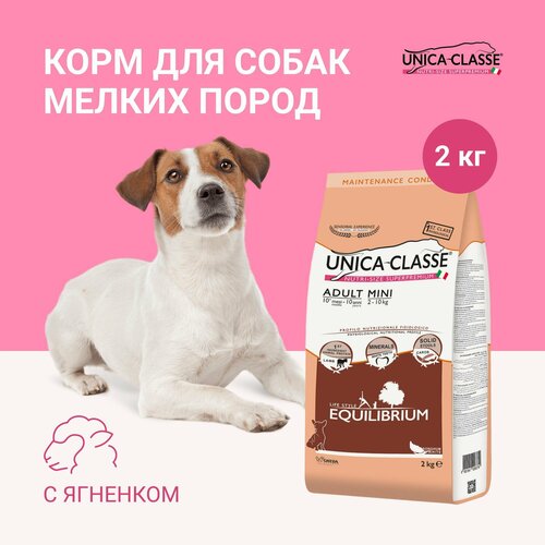 Корм для собак сухой Unica Classe для собак мелких пород, с ягненком, 2 кг.