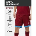 Шорты спортивные Jogel Division PerFormDry Union Shorts - изображение