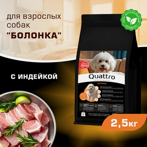Изображение товара Корм сухой для взрослых собак породы Болонка, с индейкой, 2,5 кг, QUATTRO
