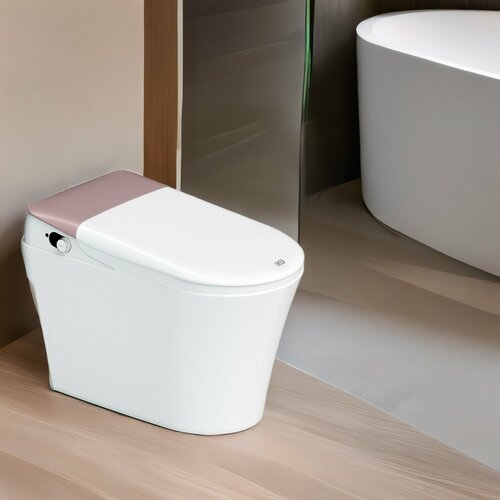 Электронный унитаз-биде T80-S