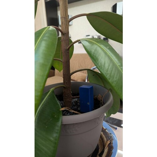 Датчик влажности почвы Zigbee для Yandex Компакт Синий 1 шт 2100₽