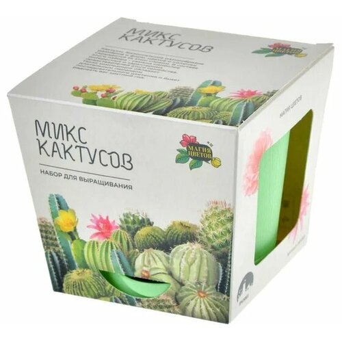 Набор для выращивания растений Микс кактусов семена