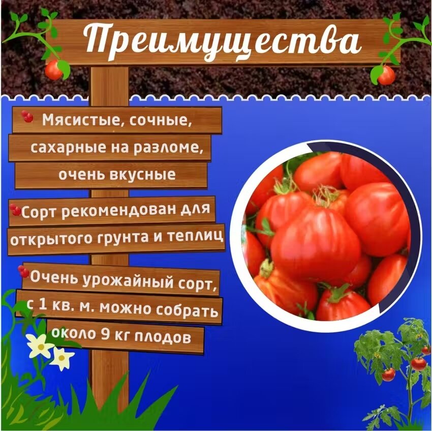 Изображение Томат пузата хата, Агрофирма Аэлита- 2 упаковки -40шт- семян