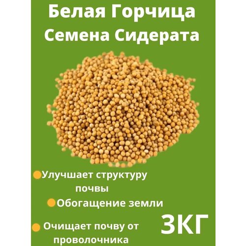 Горчица семена сидерат 3кг 350₽