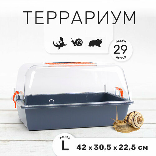 Террариум-клетка ZOOSET ДЮНА для улиток и мелких грызунов, 42х30,5х22,5 см, серый/оранжевый (прозрачная крышка)