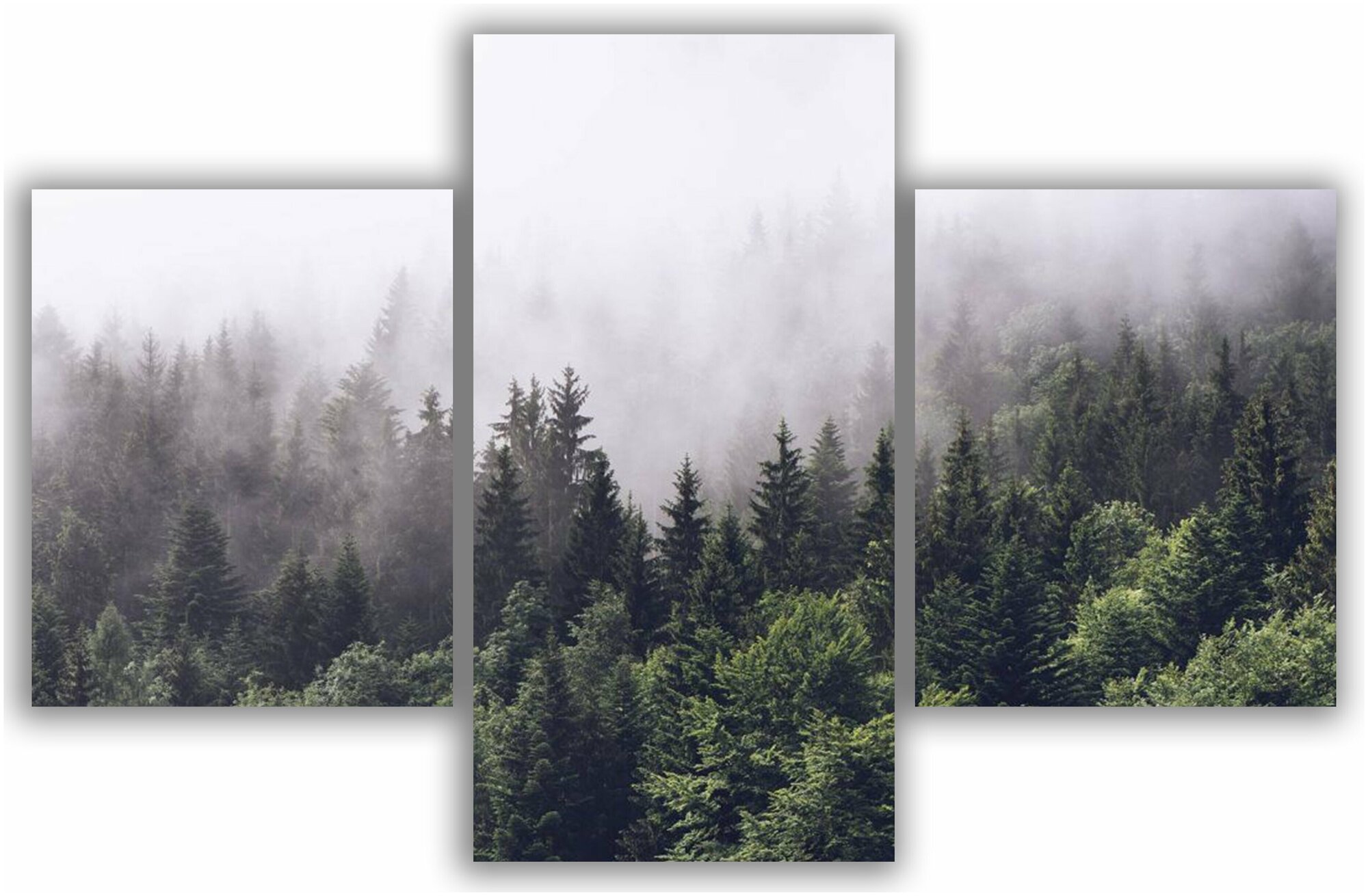 Модульная картина для интерьера / Картина Туманный лес 120х80 см