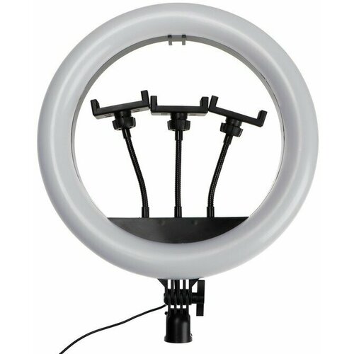 Кольцевая лампа Ritmix RRL-360 147700₽