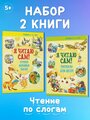 Комплект книг Я читаю сам 5,6,7 лет. Учимся читать, обучение чтению по слогам. Рассказы, сказки для детей