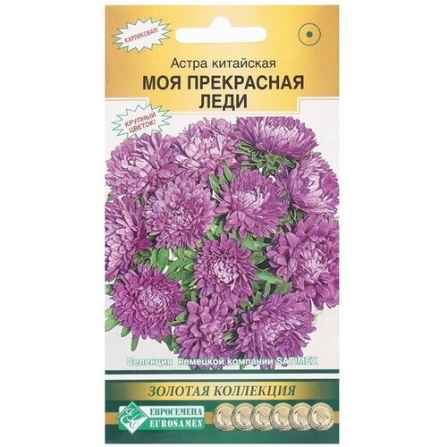 Семена Цветов Астра китайская Моя Прекрасная Леди, 0.1 г семена цветов астра китайская моя прекрасная леди 0 1 г