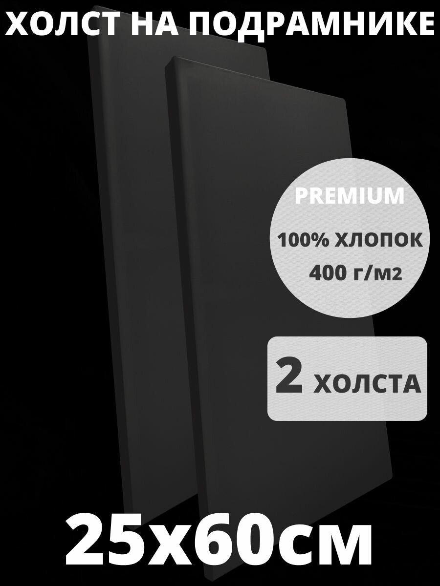 Холст на подрамнике грунтованный 25х60 см, плотность 400 г/м2 для рисования 2 шт