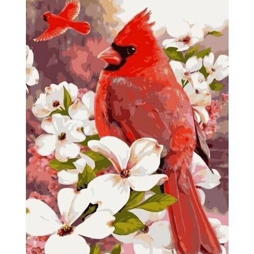 Картина по номерам Colibri Красная птичка холст на подрамнике 40х50 см картина по номерам colibri красная панда 40х50 см холст на подрамнике