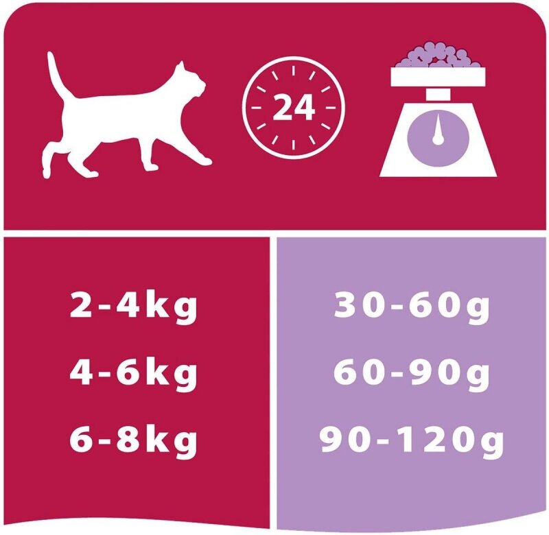 Сухой корм для кошек Purina Pro Plan Delikate с чувствительным пищеварением с индейкой 12 кг - фото №10