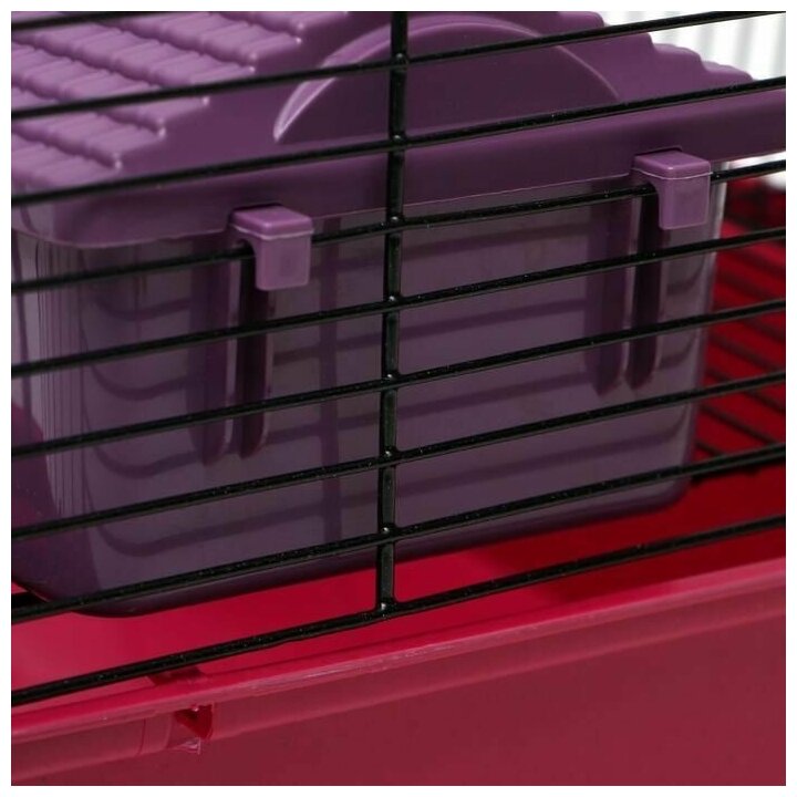 Клетка для грызунов"Пижон" 4, с этажом, укомплектованная, 37 х 26 х 18 см, рубиновая Пижон 5076199 . - фотография № 11